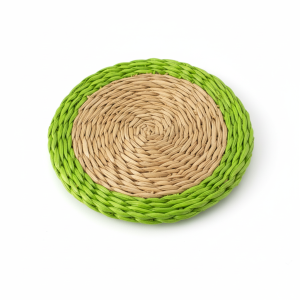 Coaster Round 10cm Smoke +Trim lime